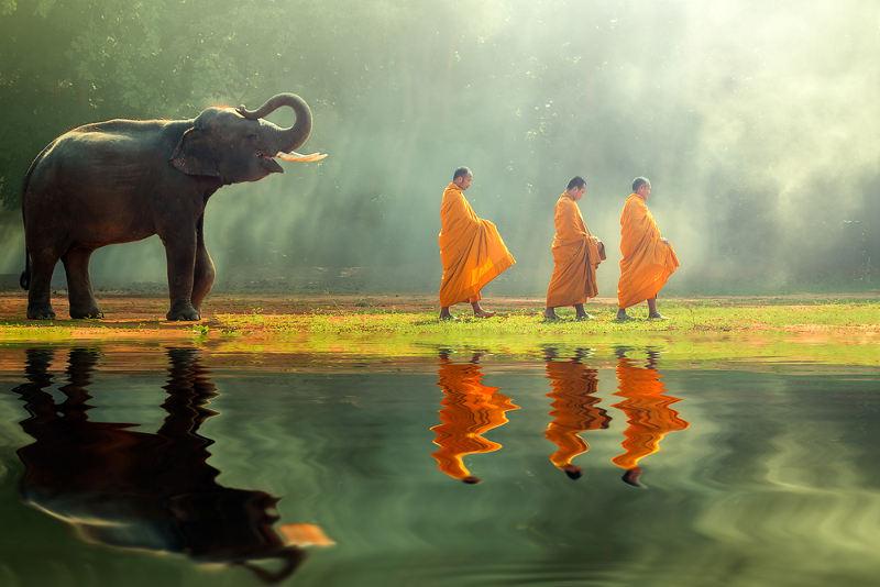 Moines Thailandais